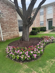 Flowers outside of the office